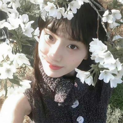狼嚎再起